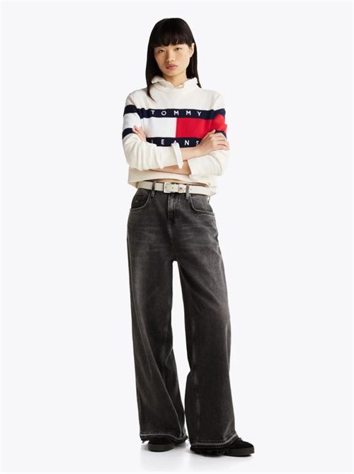 TJW CENTER FLAG SWEA TOMMY JEANS | DW0DW19335/YBH